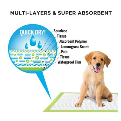 Greenbone Large Leak-Proof Lemongrass Scented Pet Training Pads
