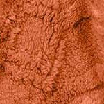 dusty orange