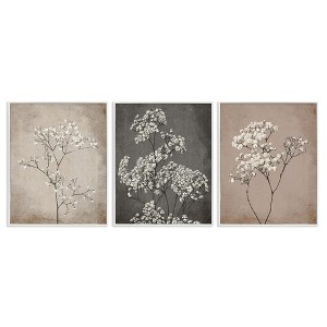 Stupell Industries Botanical Baby's Breath Herbs Black Framed Giclee Art - 1 of 4