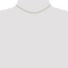 Black Bow Jewelry 0.7mm, 14k Yellow Gold, Ropa Chain Necklace - 2 of 4