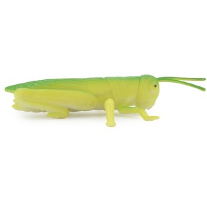 Grasshopper, Locusts, Rubber Insect, Realistic Figure, Lifelike, Model, Replica, Toy, Kids, Educational, Gift,     4 1/2 Inches    ABC10 B263 - 1 of 4