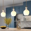 Hudson and Canal 11" Wide Pendant with Glass Shade - 4 of 4