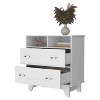 Sapphtopaz Modern Dresser with 2 Wide Drawers & Open Storage Shelves Organization and Storage with Silver Handles Closet for Bedroom, Entryway - 4 of 4