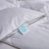 Goose Feather & Down Comforter White - Martha Stewart - 2 of 4