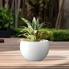 Rosemead Home & Garden Inc. 15" Dia Round Lg Concrete Bowl Outdoor Planter Pure White - 3 of 4