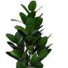 Gulches 28in Artificial Garcinia Tree in Black Pot Green 64 Real Touch Leaves Indoor Faux Floor Plant No Maintenance Decorative Greenery - 3 of 4