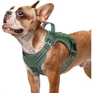 rabbitgoo Dog Harness Small Sized No Pull, l Handle, for Easy Walking and Training, Green, S - 1 of 1
