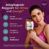 Ladybug Potion No3 Positive Vibes Ashwagandha Capsules, 60 Count - 4 of 4