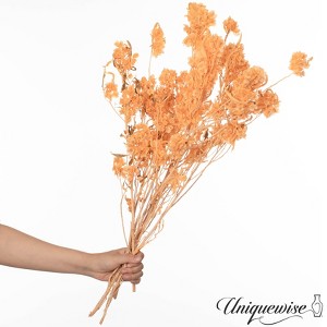Uniquewise Preserved Real Floral Stems Chic Vase Fillers & Accents for Bouquets Centerpieces - 1 of 4