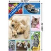 Trends International Keith Kimberlin - Puppies and Kittens Collage Unframed Wall Poster Prints - 3 of 4