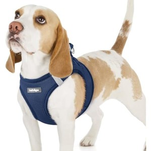 rabbitgoo Small Dog Harness, Step-in Soft Mesh Puppy Vest with Safety Buckle, Breathable Reflective Pet Harness for Small Sized Dogs, Navy Blue M - 1 of 1