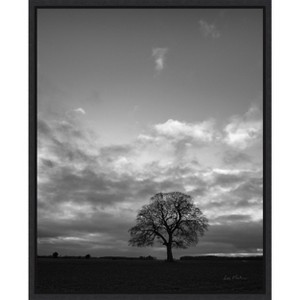 Amanti Art Horizon Tree BW by Andre Eichman Canvas Wall Art Print Framed 23 x 28-in. - 1 of 4