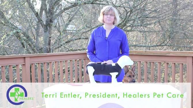Healers Body Front Module Dog Wrap, 2 of 8, play video