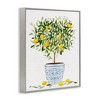 Stupell Industries Lemon Tree Detailed Planter Framed Giclee Art, Gray, 24" x 30" - 2 of 4