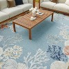 Nourison Suncoast Beach Indoor/Outdoor Flatweave Rug - 4 of 4