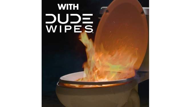 Dude Wipes Mint Chill Flushable Personal Wipes - Eucalyptus Scent - 48ct, 2 of 8, play video