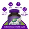 Nature's Way Sambucus Immune Gummies for Kids with Elderberry Vitamin C and Zinc - 60ct - 4 of 4