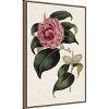 Amanti Art Pink Floral Mix III by Bette Ridgeway Framed Canvas Wall Art - 3 of 4