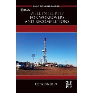 Well Integrity for Workovers and Recompletions - (Gulf Drilling Guides) by  Les Skinner (Hardcover) - 1 of 1