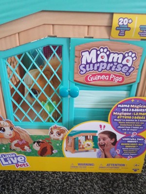 Guest review image 2 of 2, zoom in