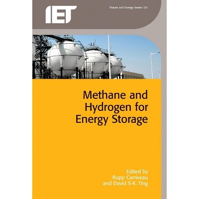 Methane and Hydrogen for Energy Storage - (Energy Engineering) by  Rupp Carriveau & David S-K Ting (Hardcover)