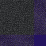 baltimore ravens