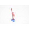 Collectible Wildlife Gifts | Flamingo, Museum Quality Toy Plastic Model, Hand Painted    3 1/2"    F1067 BB45 - 4 of 4