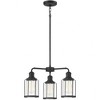 Quoizel Lighting Ludlow 3 - Light Chandelier in  Earth Black - 2 of 4