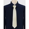 Allegra K Men's Self-Tied Solid Color Formal Casual Party Wedding Neckties - 2 of 4
