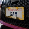 Towson University Tie-Dye License Plate Tag Frame - 3 of 4
