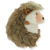 Peter Pauper Press Hug A Hedgehog Kit, Includes Plush Toy and Hedgehog Hugger's Guide, Ages 3 and Up - 3 of 4