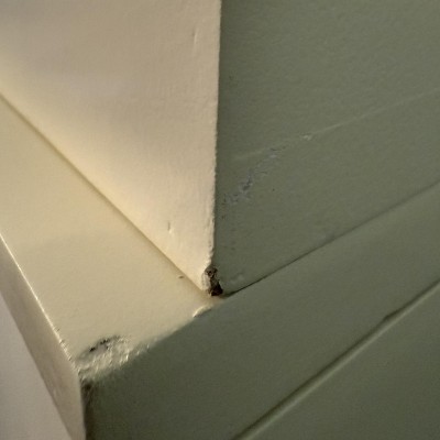 Guest review image 2 of 5, zoom in