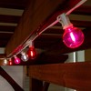 Novelty Lights 25 Feet G40 LED Patio String Light Set with 25 Bulbs, Weather Resistant Shatterproof Replaceable Globe Bulbs, White Wire - 3 of 4