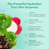 Patchology Rejuvenating Under Eye Gels - Hydrating Eye Mask w/Caffeine, Hydrolyzed Collagen & Centella Asiatica | For Dark Circles (5 Pairs) - 3 of 4