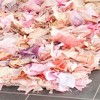 Rio Shag SG951 Hand Woven Indoor Rugs - Safavieh - 3 of 3