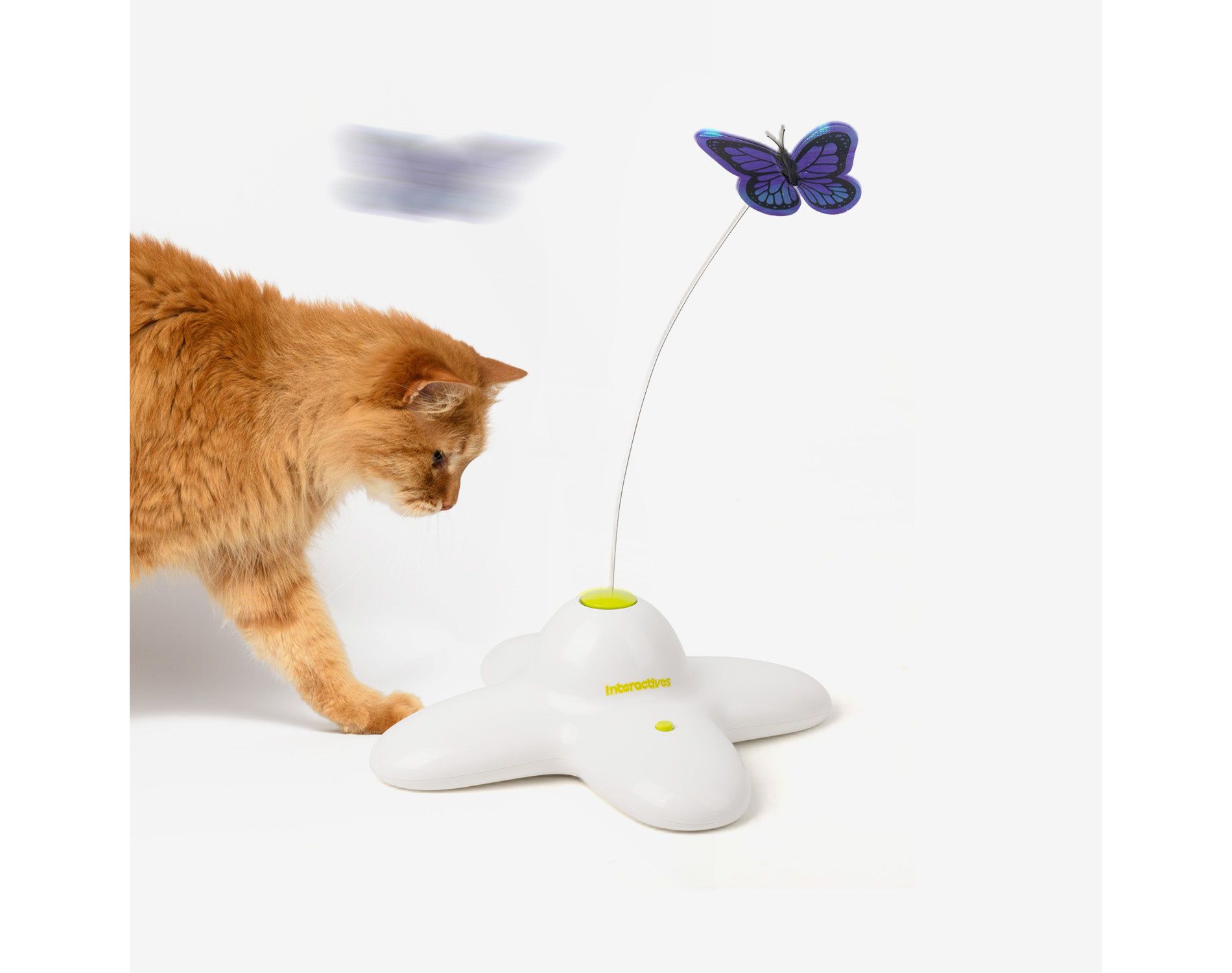 Allforpaws Interactive Cat Toys Butterfly Flutter Toys, Indoor Automatic Cat Toy for Enrichment, Halloween Pet Toy