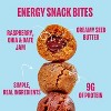 Smash Foods, Snack Bites, Choc Peanut Butter & Raspberry Jam, 5 Bites, 1.8 oz - 2 of 4