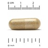 Super Nutrition Red Yeast Rice, 600 mg, 120 Veggie Capsules - 3 of 3