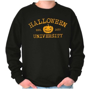 Halloween University Jack O Lantern Sweatshirt for Men or Women Brisco Brands - 1 of 4