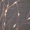 Nearly Natural 4-ft Pre-Lit Artificial White Birch Tree with 51 White LED Lights - 3 of 4