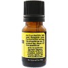 Plantlife Lemon Aromatherapy Essential Oil - Straight from The Plant 100% Pure Therapeutic Grade - No Additives or Fillers - 2 of 3