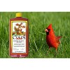 Cole's Flaming Squirrel Seed Sauce, 16oz Bottle - 2 of 3