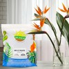 Soil Sunrise Bird of Paradise Potting Soil Mix, for Indoor / Outdoor Container Tropical Plants - 2 of 4