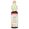 Bach Original Flower Remedies, Larch, 0.35 fl oz (10 ml) - 3 of 4