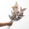28"H Sullivans Artificial Christmas 3 Color Frosted Pine Spray Set of 3, Multicolor, Indoor Christmas Decor - 3 of 3