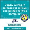 Little Remedies Gas Relief Drops for Babies - Natural Berry - 1 fl oz - image 3 of 4