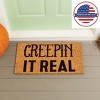 Evergreen 16 x 28 Inches Creepin it Real Door Mat | Non-Slip Rubber Backing | Dirt catching Natural Coir | Indoor and Outdoor Home Decor - 3 of 4