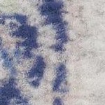 ivory blue