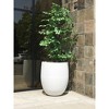 Rosemead Home & Garden, Inc. 17" Wide Modern Concrete Indoor Outdoor Planter Pot Pure White - 4 of 4