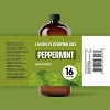 Lab Bulks Peppermint Essential Oil 16 oz Bottle, for Diffusers, Home Care, Candles, Cleaning, Spray for House Cleaning, Diffuser, Aromatherapy - 2 of 4
